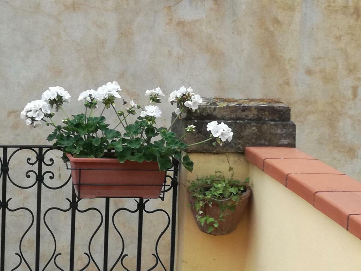 Pietrarosa Apartment Λούκα Εξωτερικό φωτογραφία
